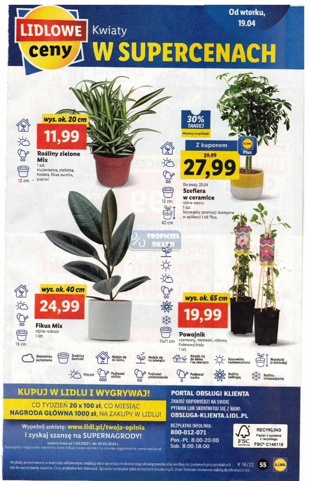 Gazetka promocyjna Lidl str. 55