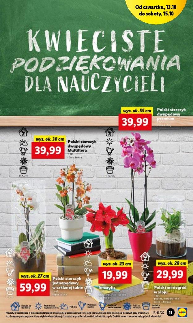 Gazetka promocyjna Lidl str. 11