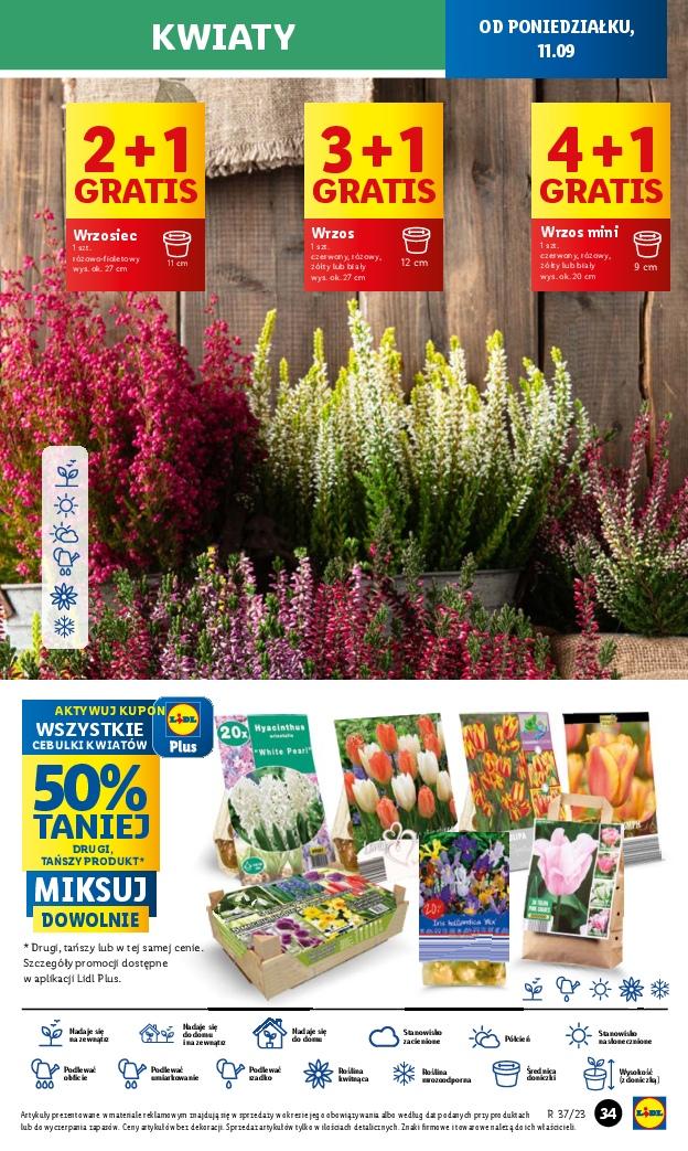 Gazetka promocyjna Lidl str. 55