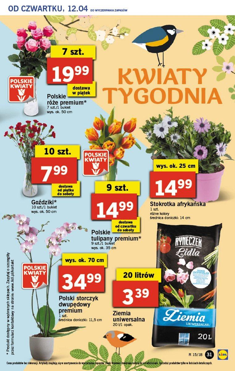 Gazetka promocyjna Lidl str. 31
