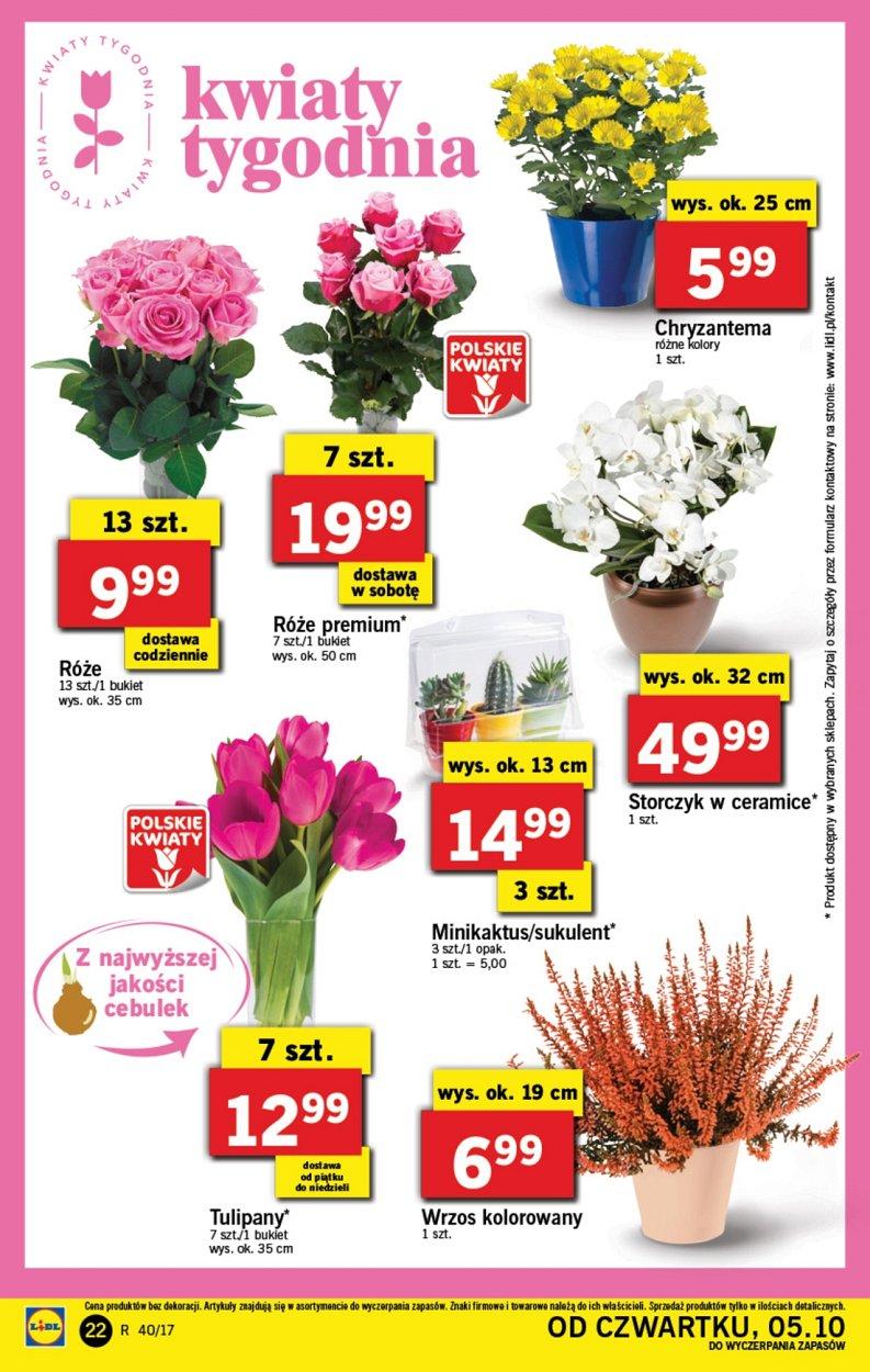 Gazetka promocyjna Lidl str. 22
