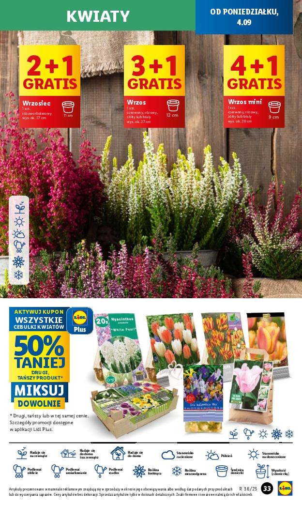 Gazetka promocyjna Lidl str. 47