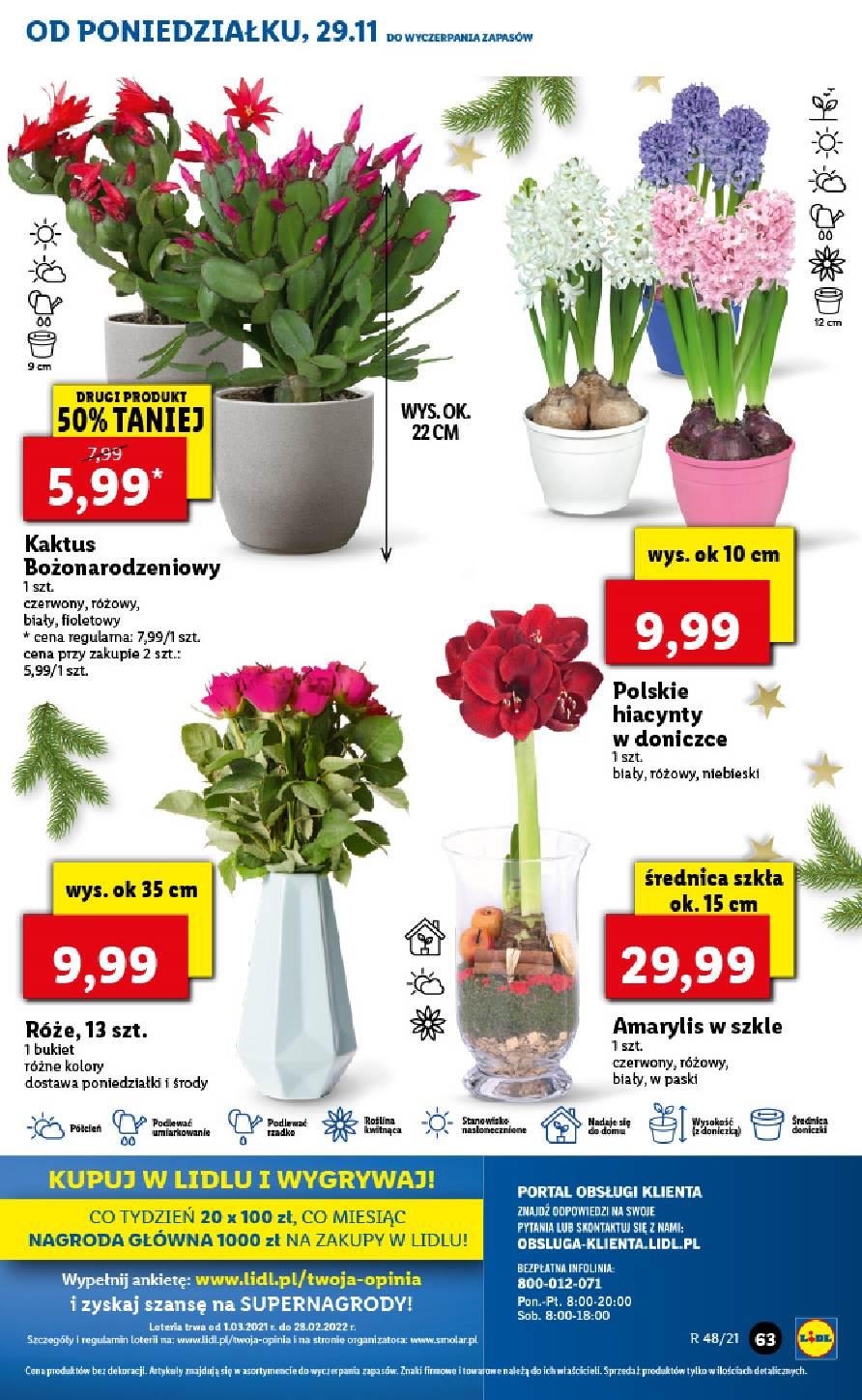 Gazetka promocyjna Lidl str. 63