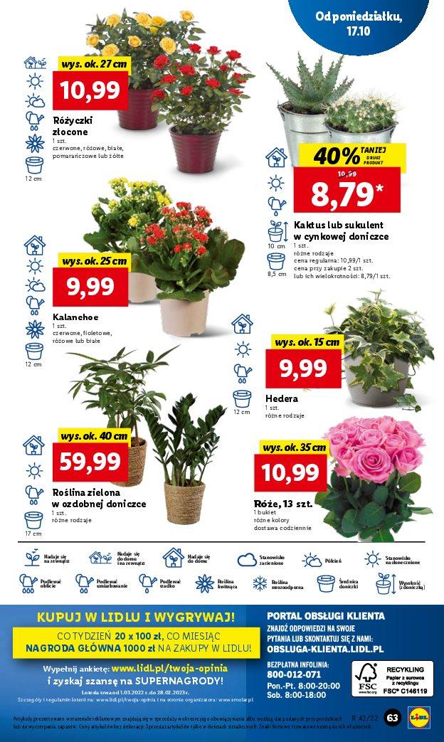 Gazetka promocyjna Lidl str. 71