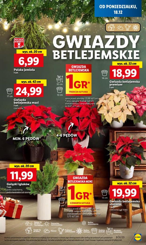 Gazetka promocyjna Lidl str. 45