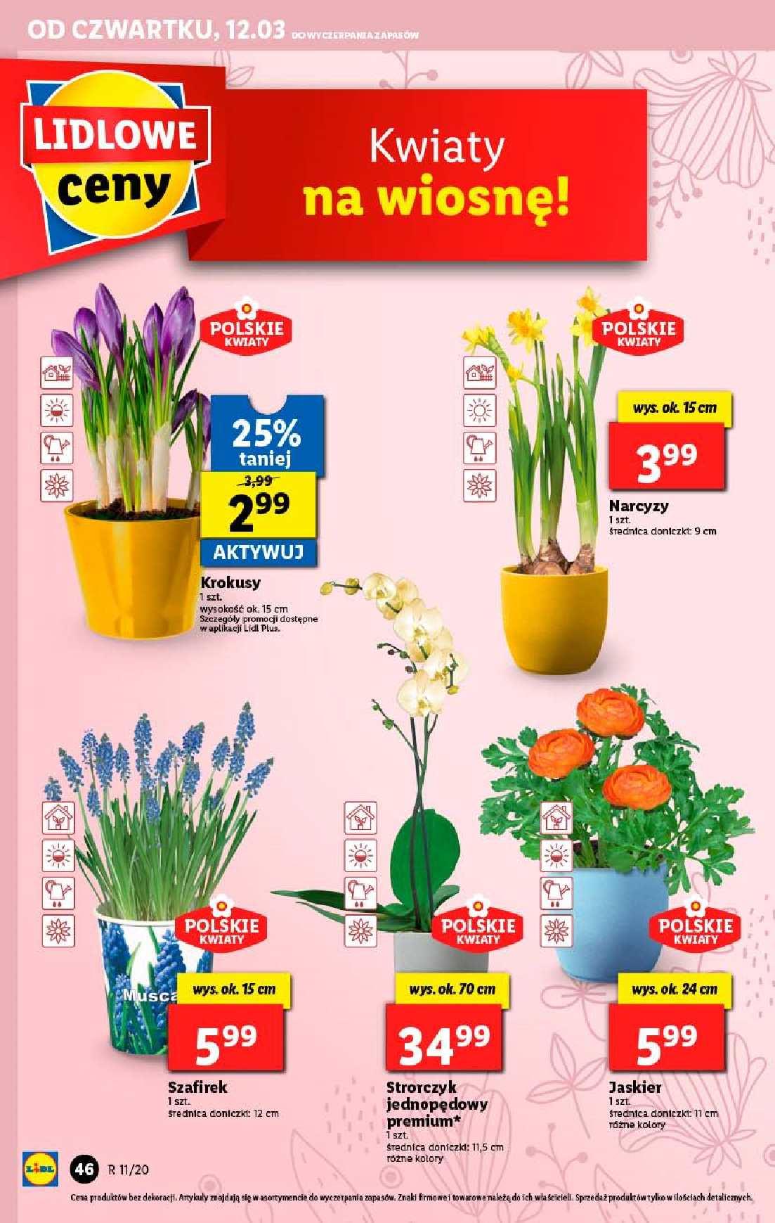 Gazetka promocyjna Lidl str. 46