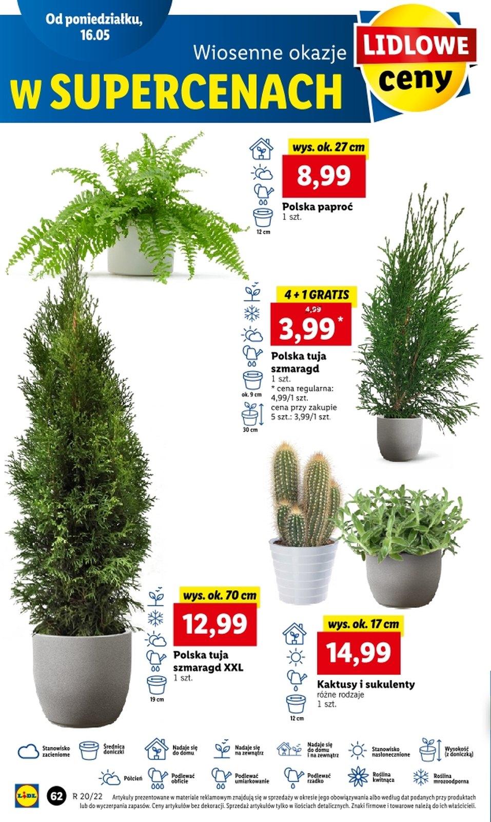 Gazetka promocyjna Lidl str. 62