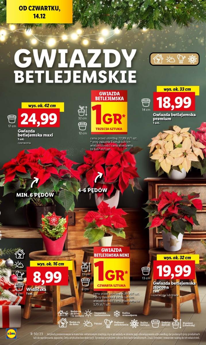 Gazetka promocyjna Lidl str. 64