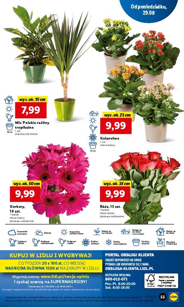 Gazetka promocyjna Lidl str. 55