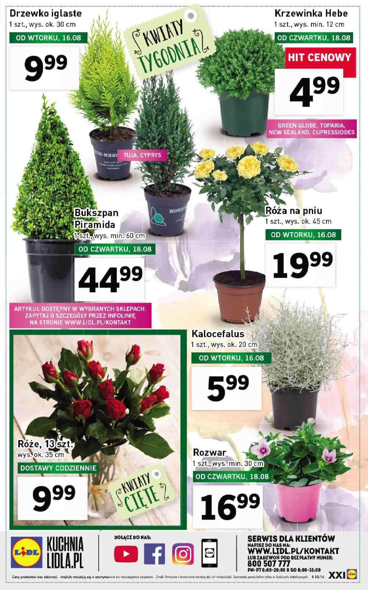 Gazetka promocyjna Lidl str. 20