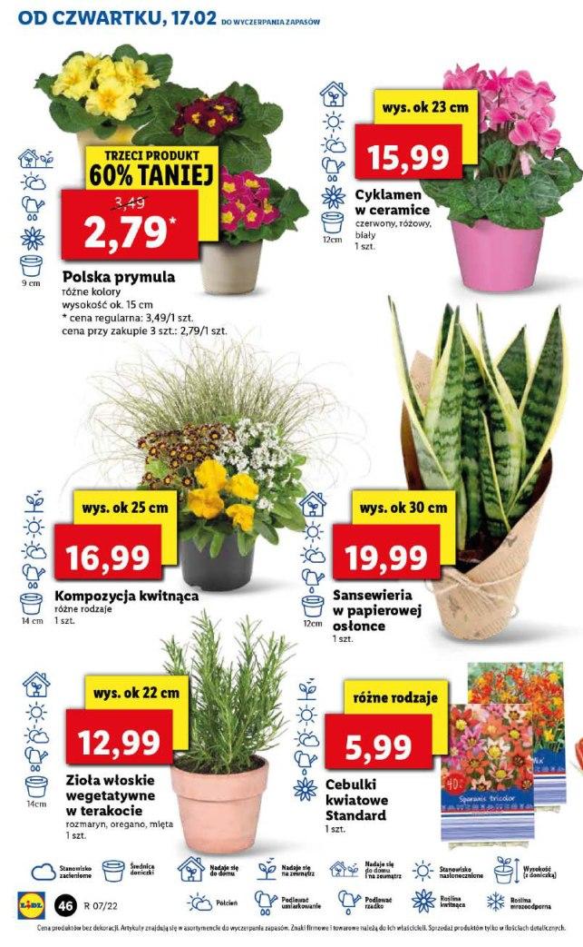 Gazetka promocyjna Lidl str. 46