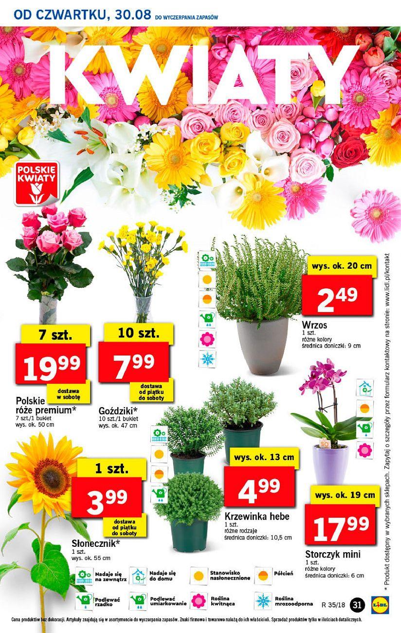 Gazetka promocyjna Lidl str. 31
