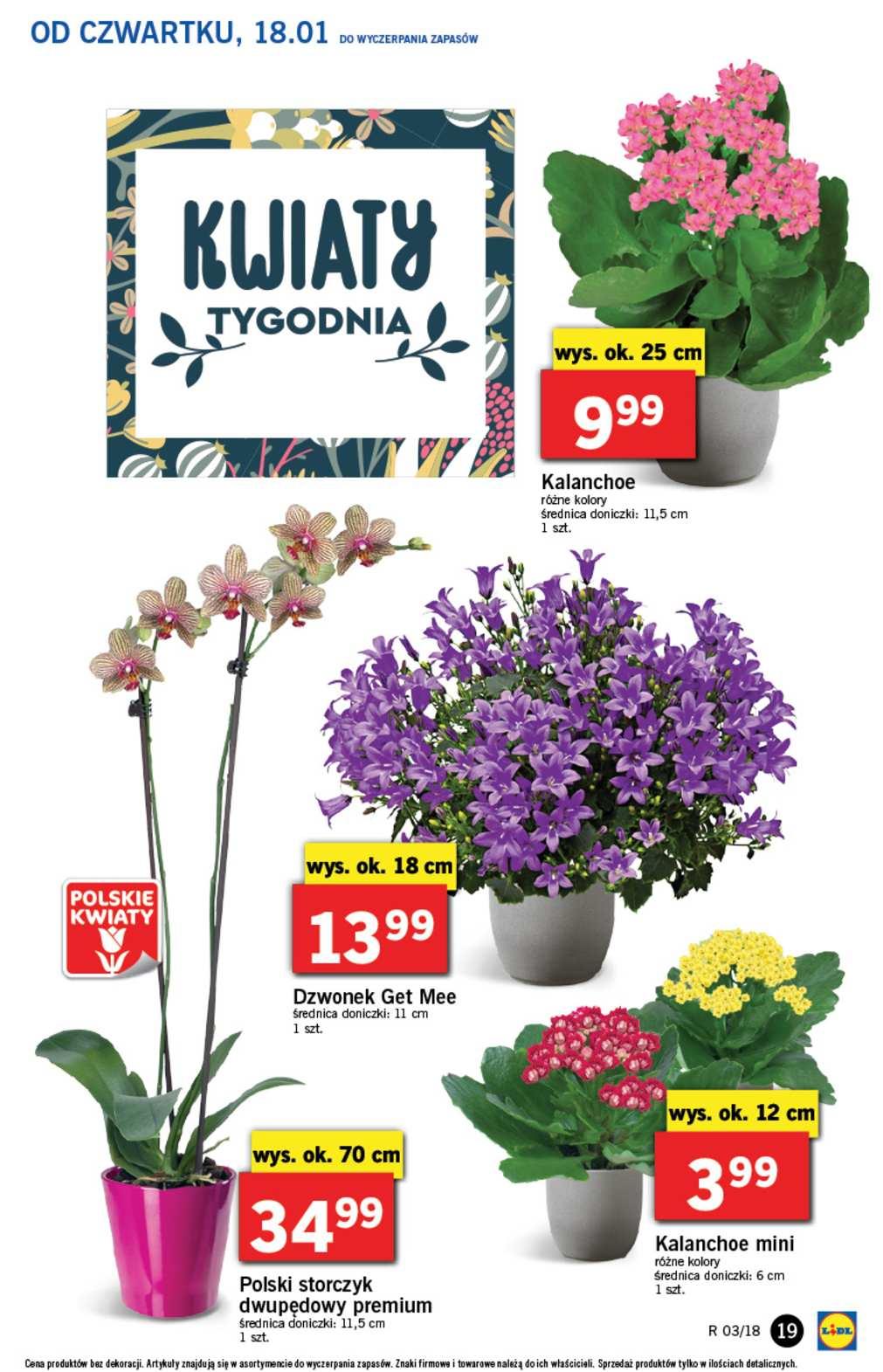 Gazetka promocyjna Lidl str. 19