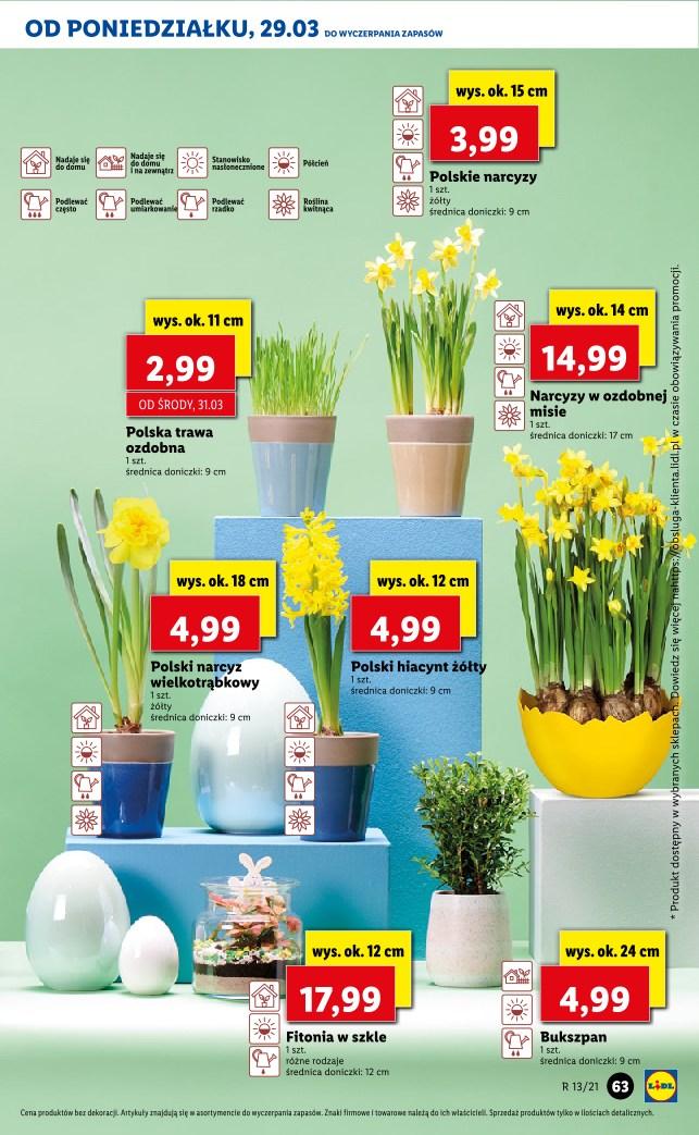 Gazetka promocyjna Lidl str. 63