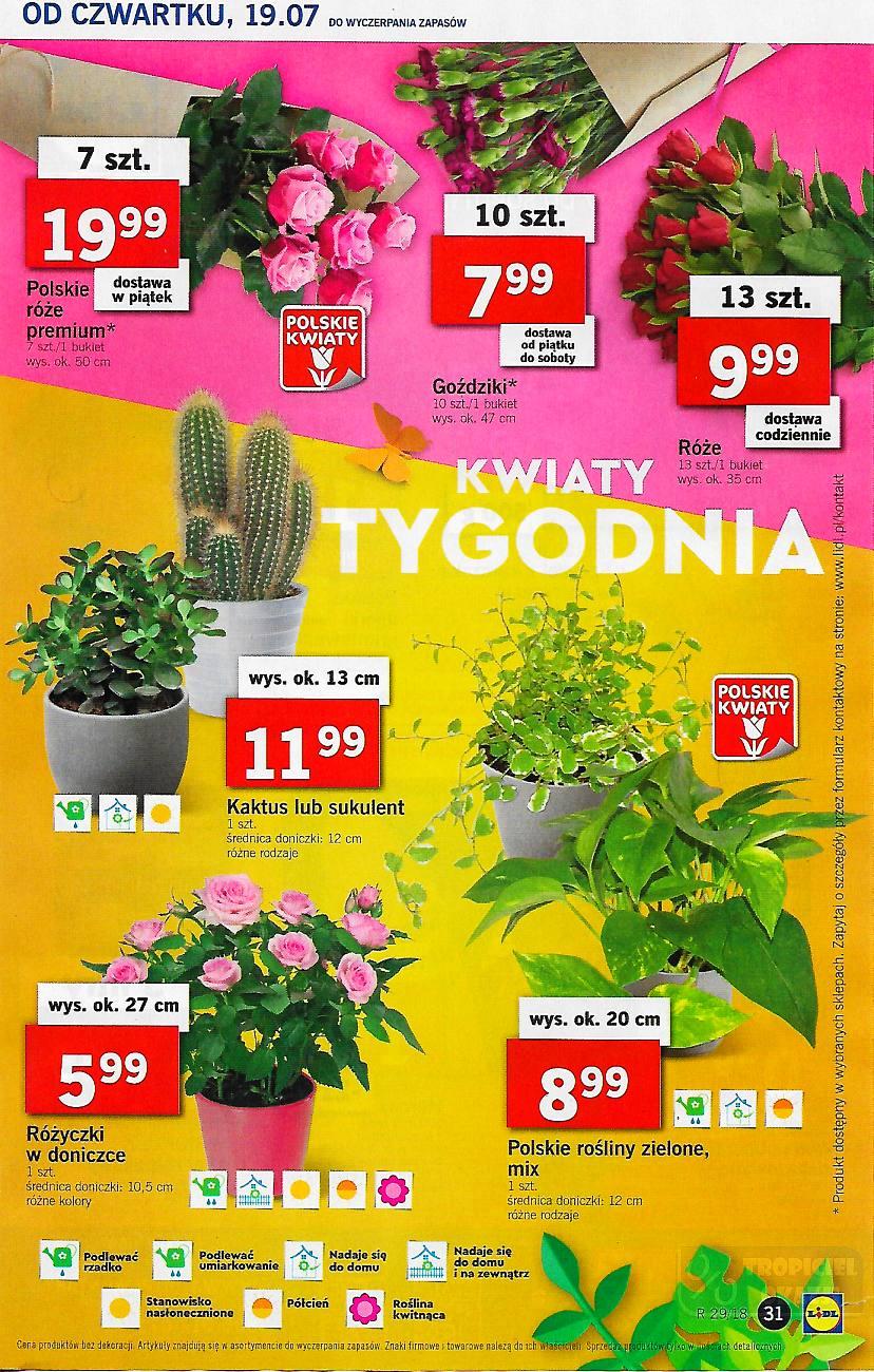 Gazetka promocyjna Lidl str. 31