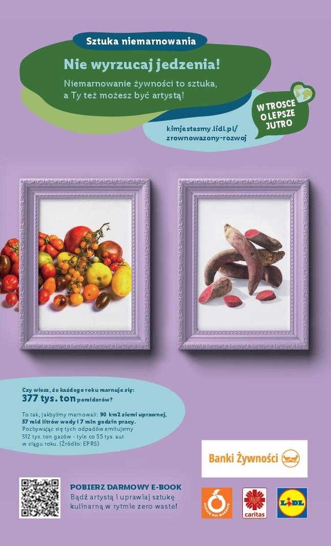 Gazetka promocyjna Lidl str. 48