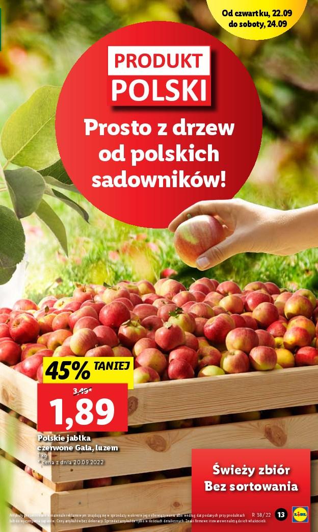 Gazetka promocyjna Lidl str. 13