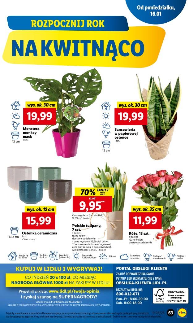 Gazetka promocyjna Lidl str. 69
