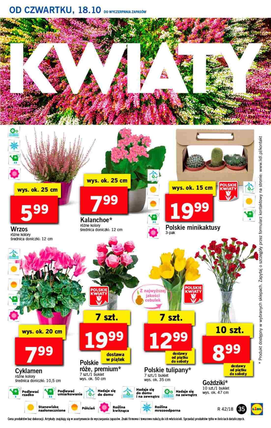 Gazetka promocyjna Lidl str. 35