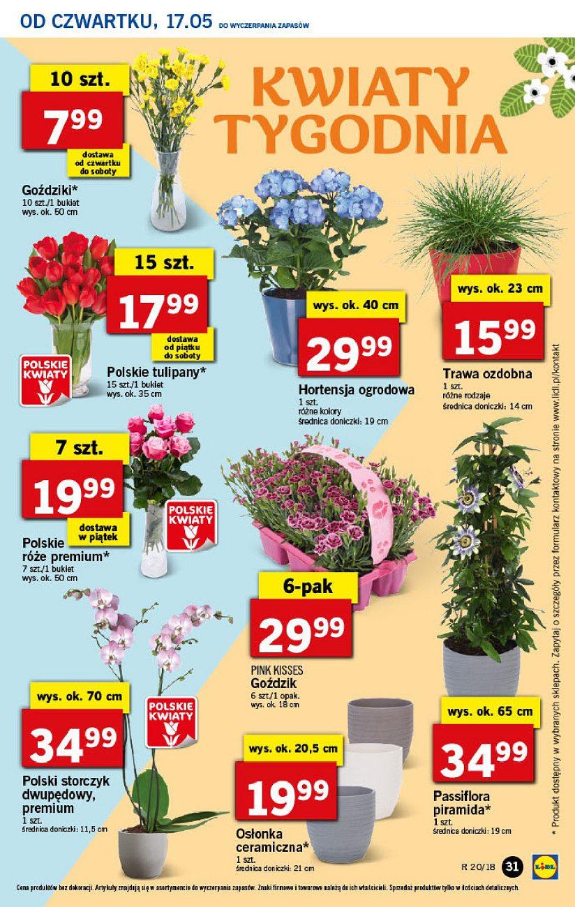 Gazetka promocyjna Lidl str. 31