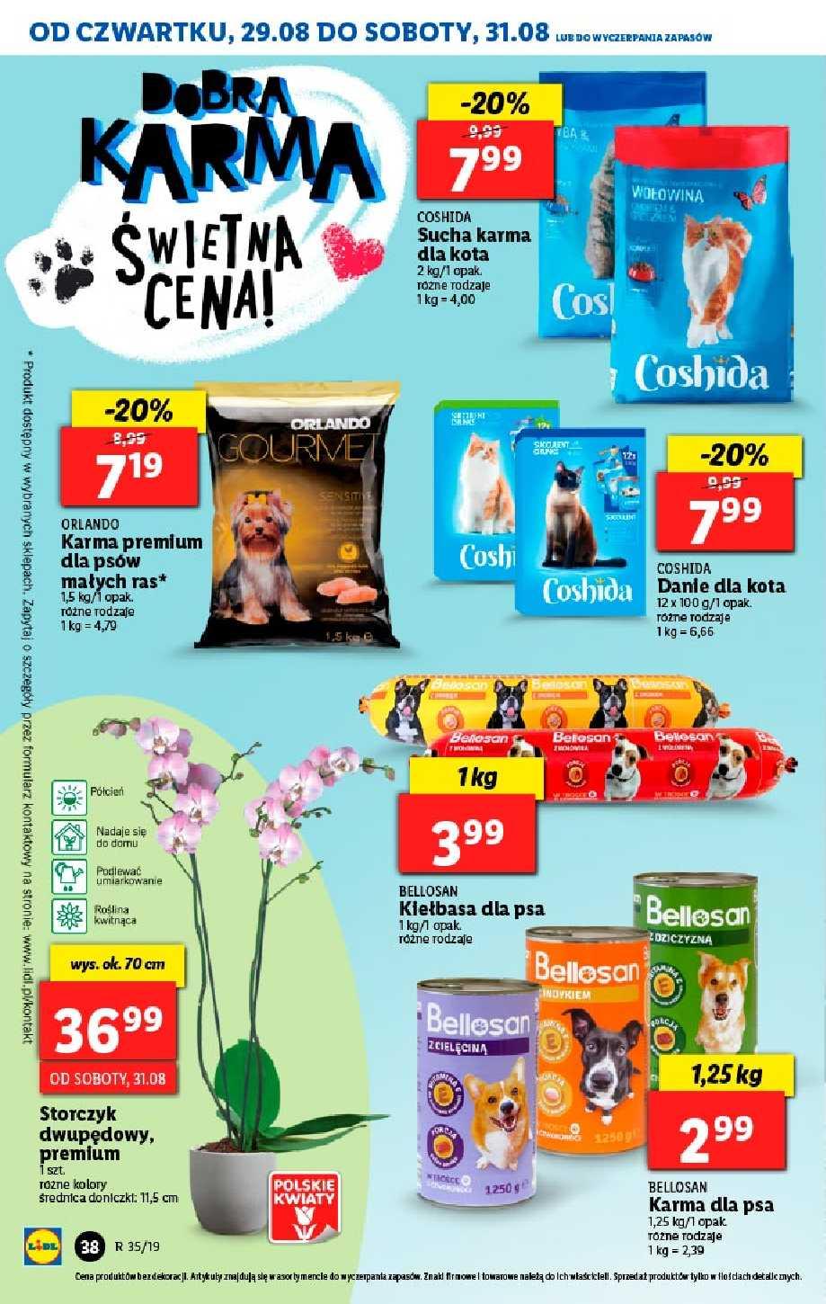 Gazetka promocyjna Lidl str. 38