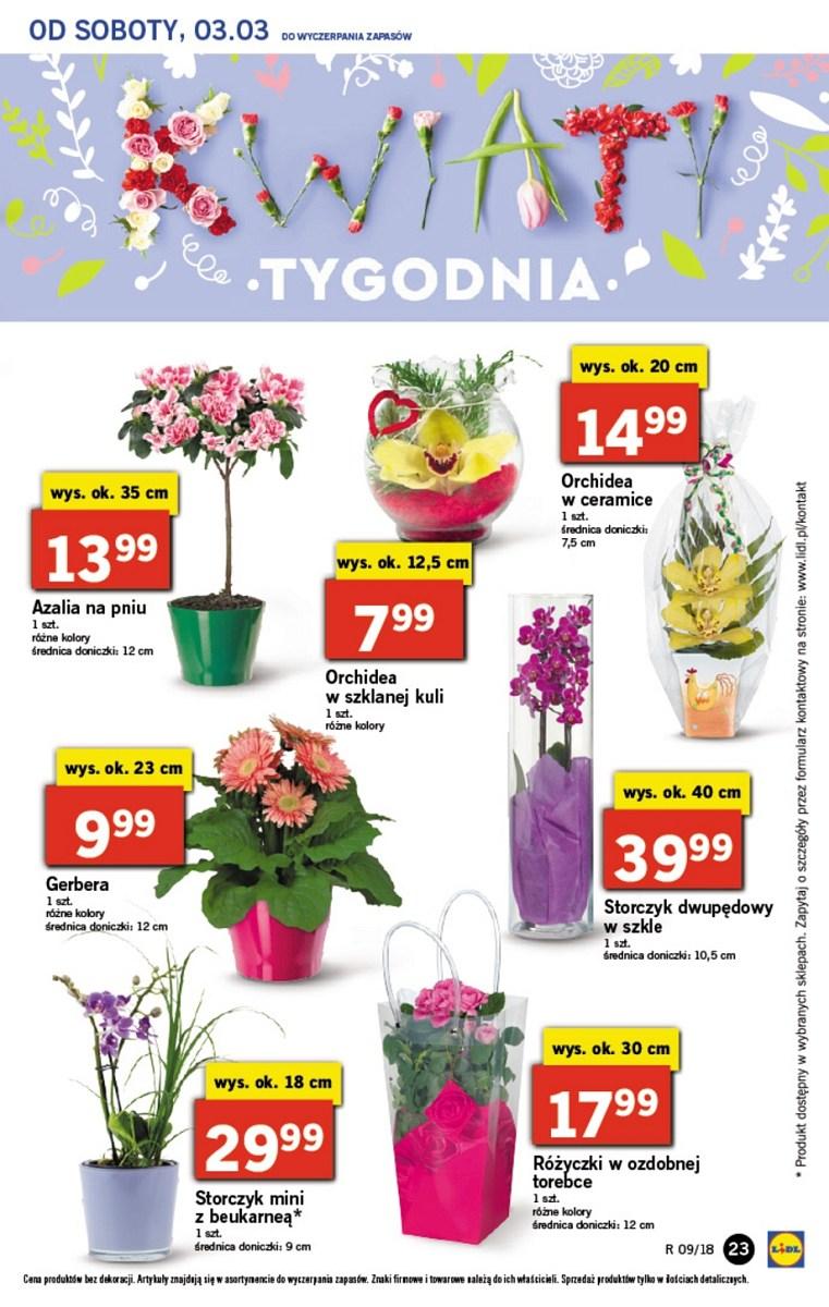 Gazetka promocyjna Lidl str. 23