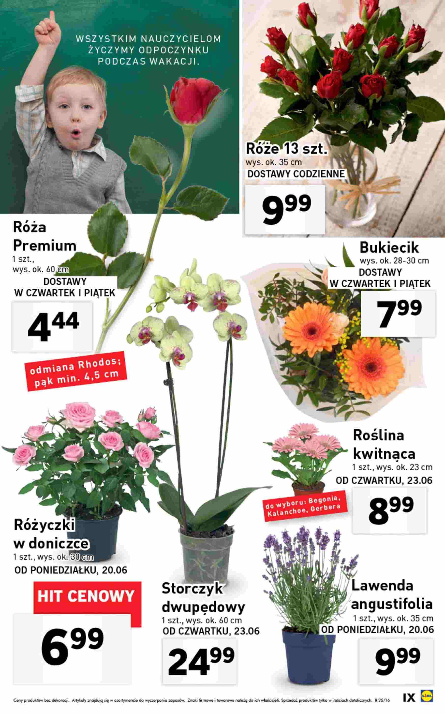 Gazetka promocyjna Lidl str. 33