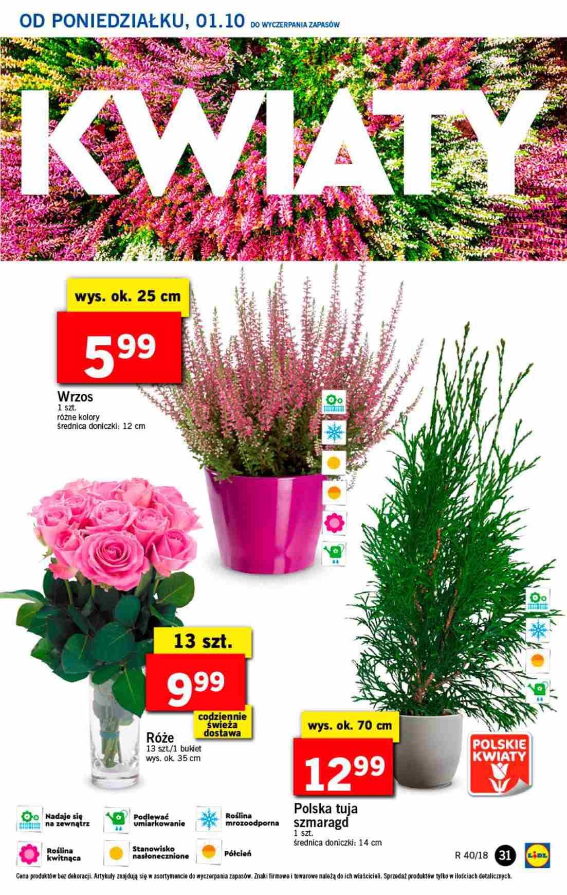 Gazetka promocyjna Lidl str. 31