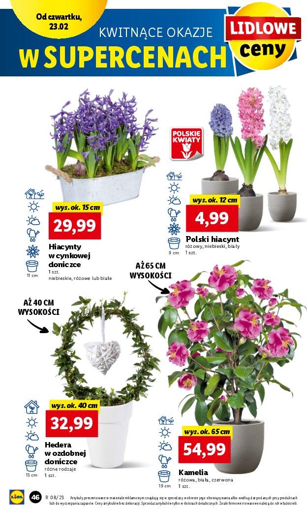 Gazetka promocyjna Lidl str. 46