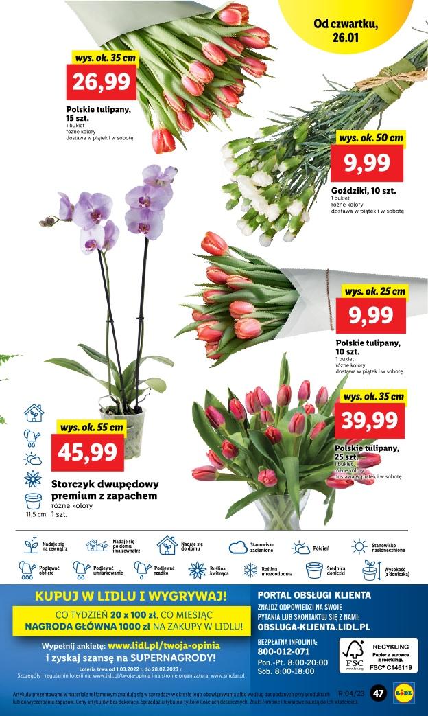Gazetka promocyjna Lidl str. 53