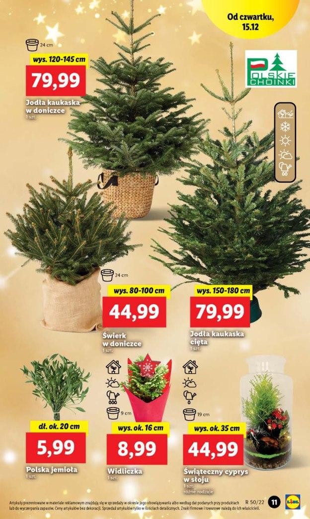 Gazetka promocyjna Lidl str. 12