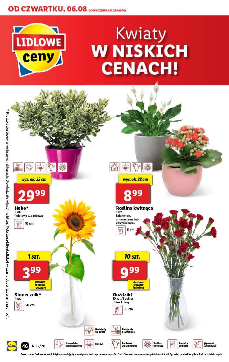 Gazetka promocyjna Lidl str. 46