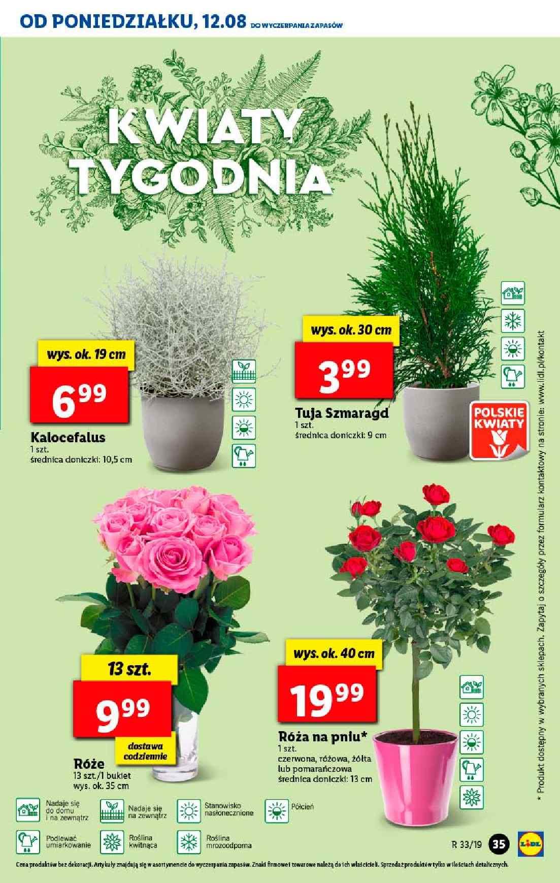 Gazetka promocyjna Lidl str. 35