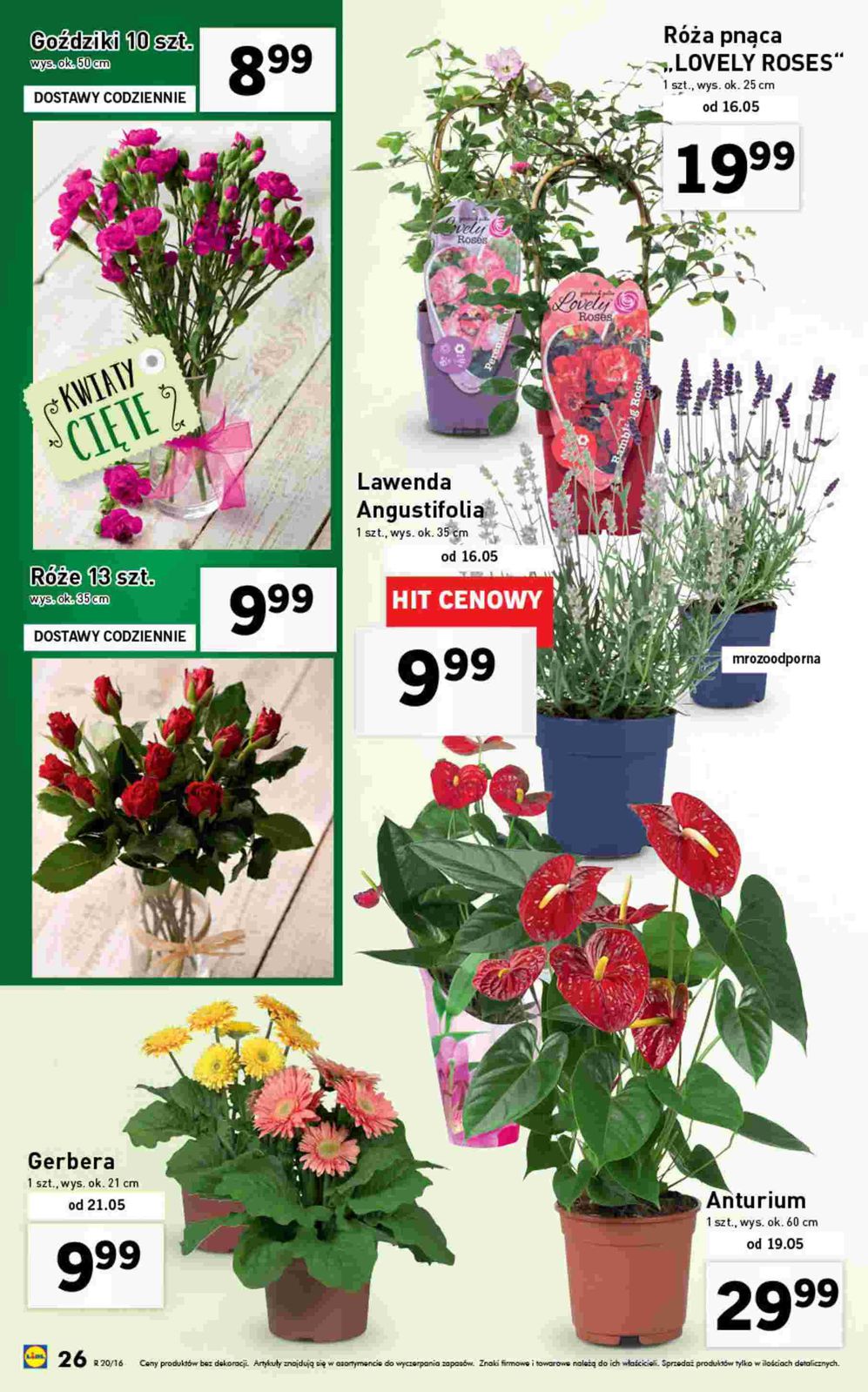 Gazetka promocyjna Lidl str. 26