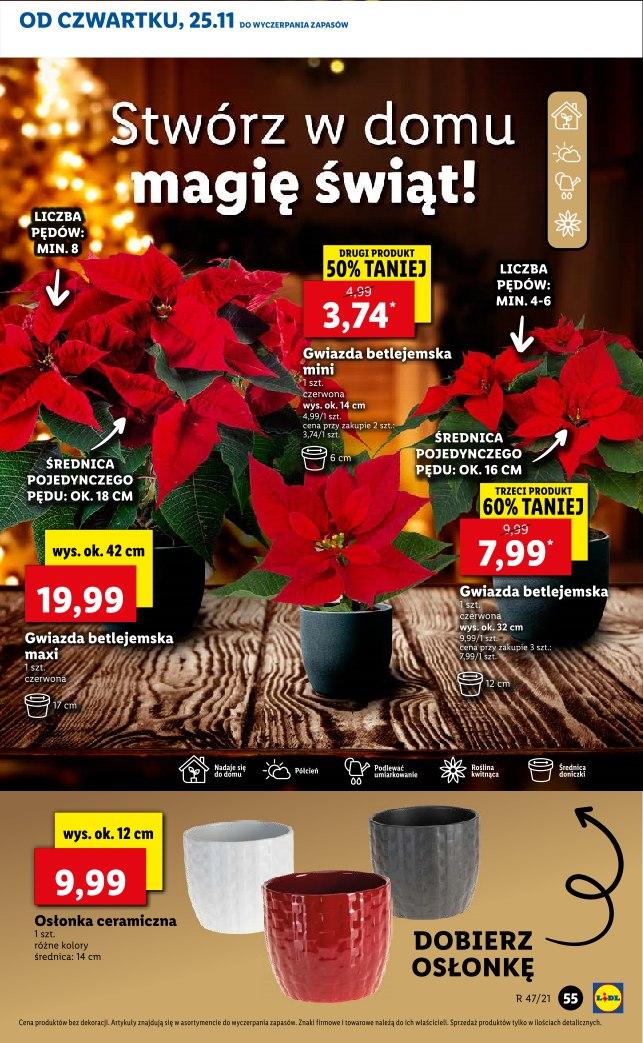 Gazetka promocyjna Lidl str. 55