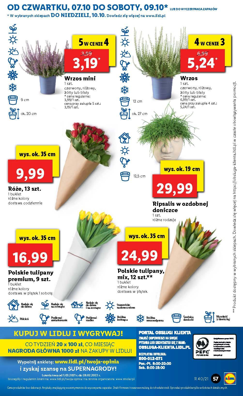 Gazetka promocyjna Lidl str. 55