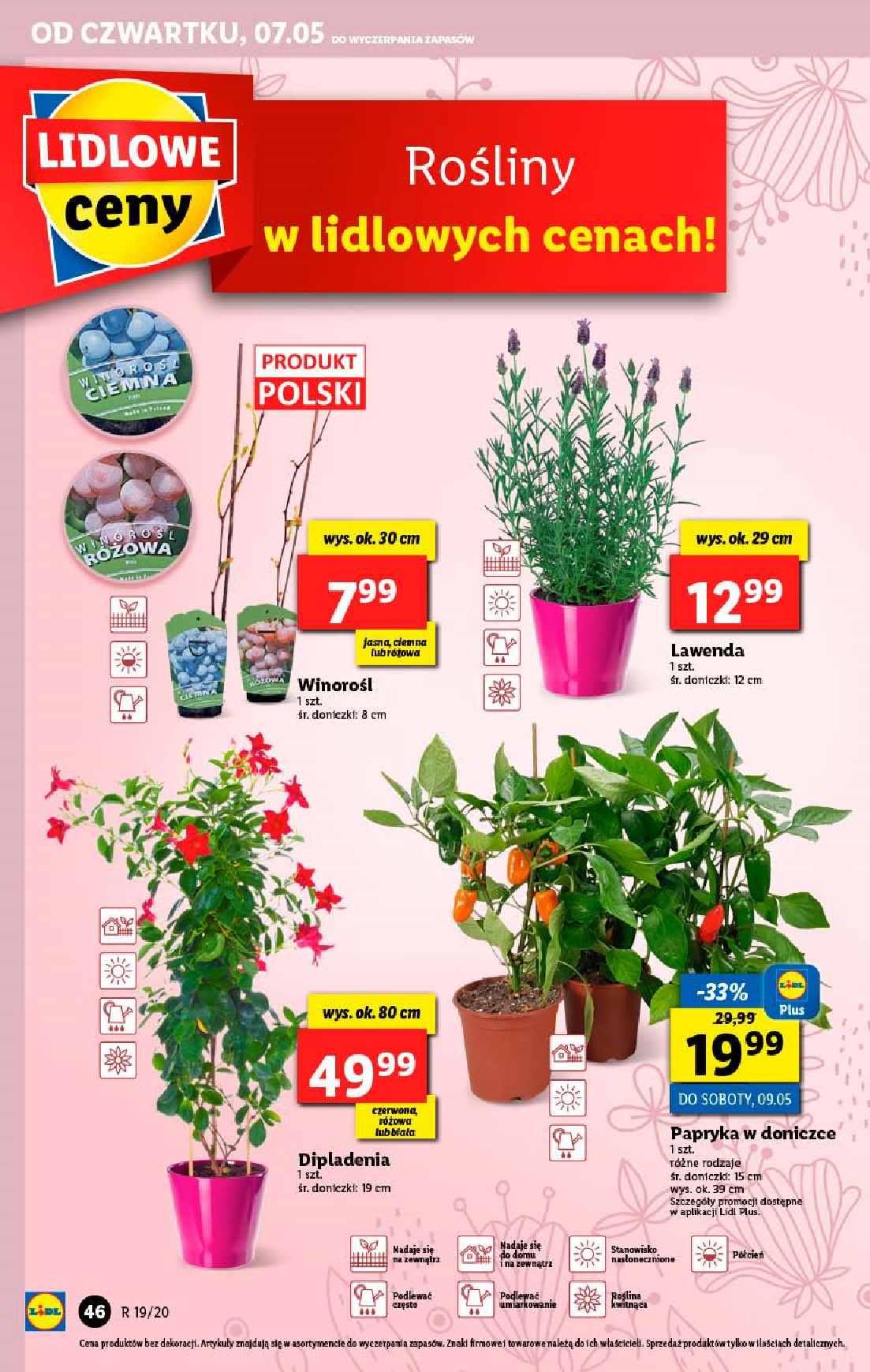 Gazetka promocyjna Lidl str. 46