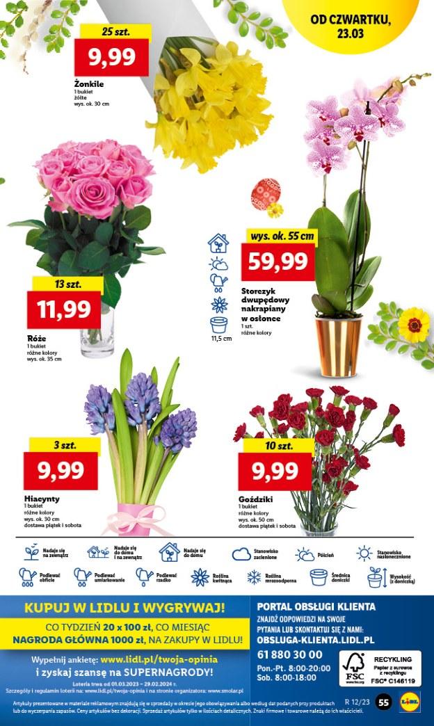 Gazetka promocyjna Lidl str. 63