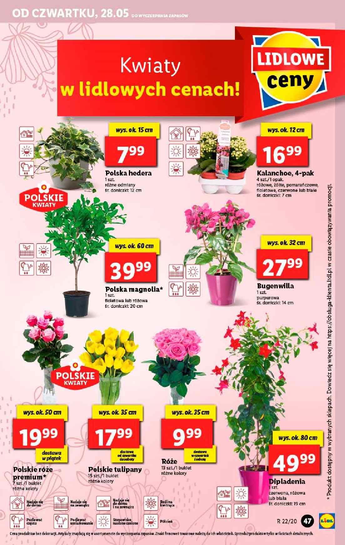 Gazetka promocyjna Lidl str. 47