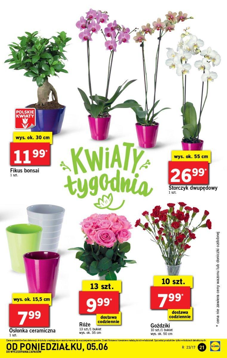 Gazetka promocyjna Lidl str. 21