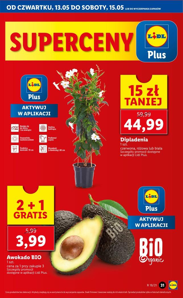 Gazetka promocyjna Lidl str. 31