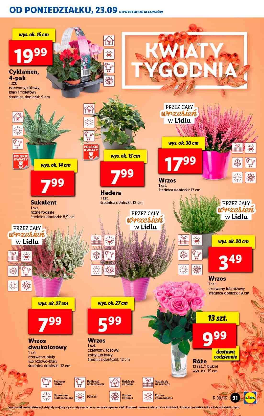 Gazetka promocyjna Lidl str. 31