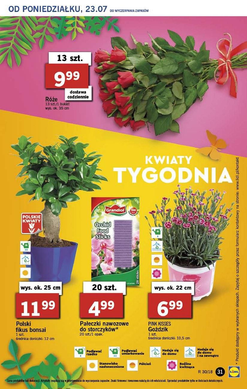 Gazetka promocyjna Lidl str. 31