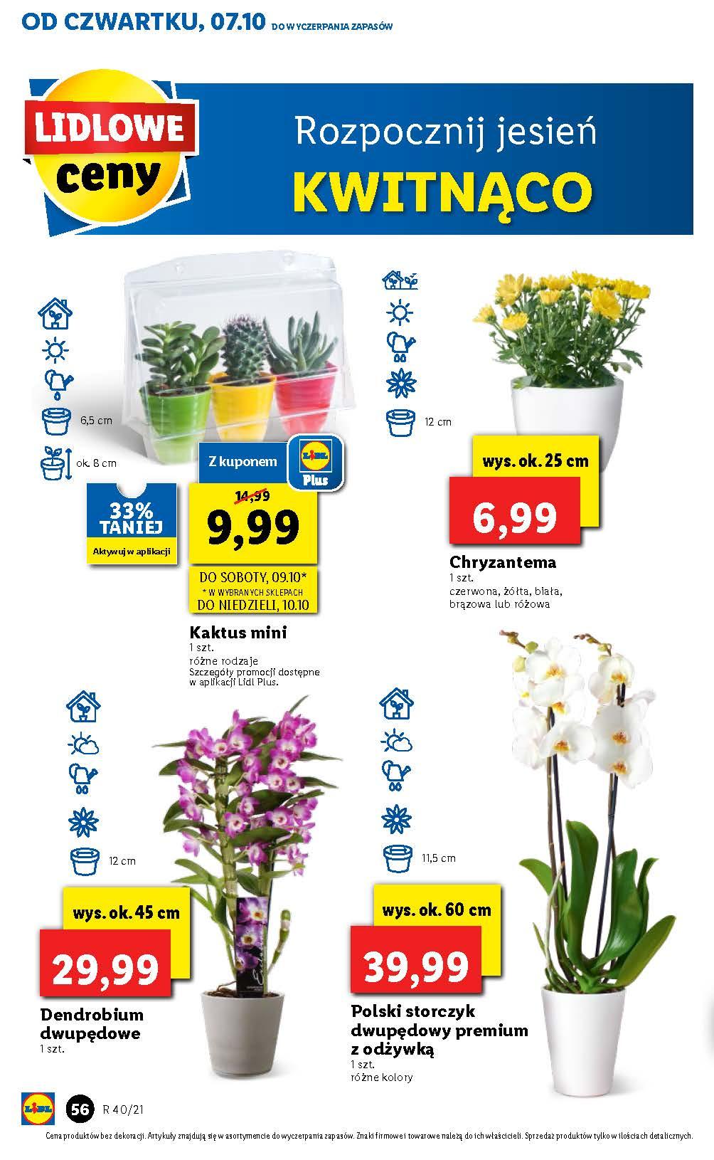 Gazetka promocyjna Lidl str. 54