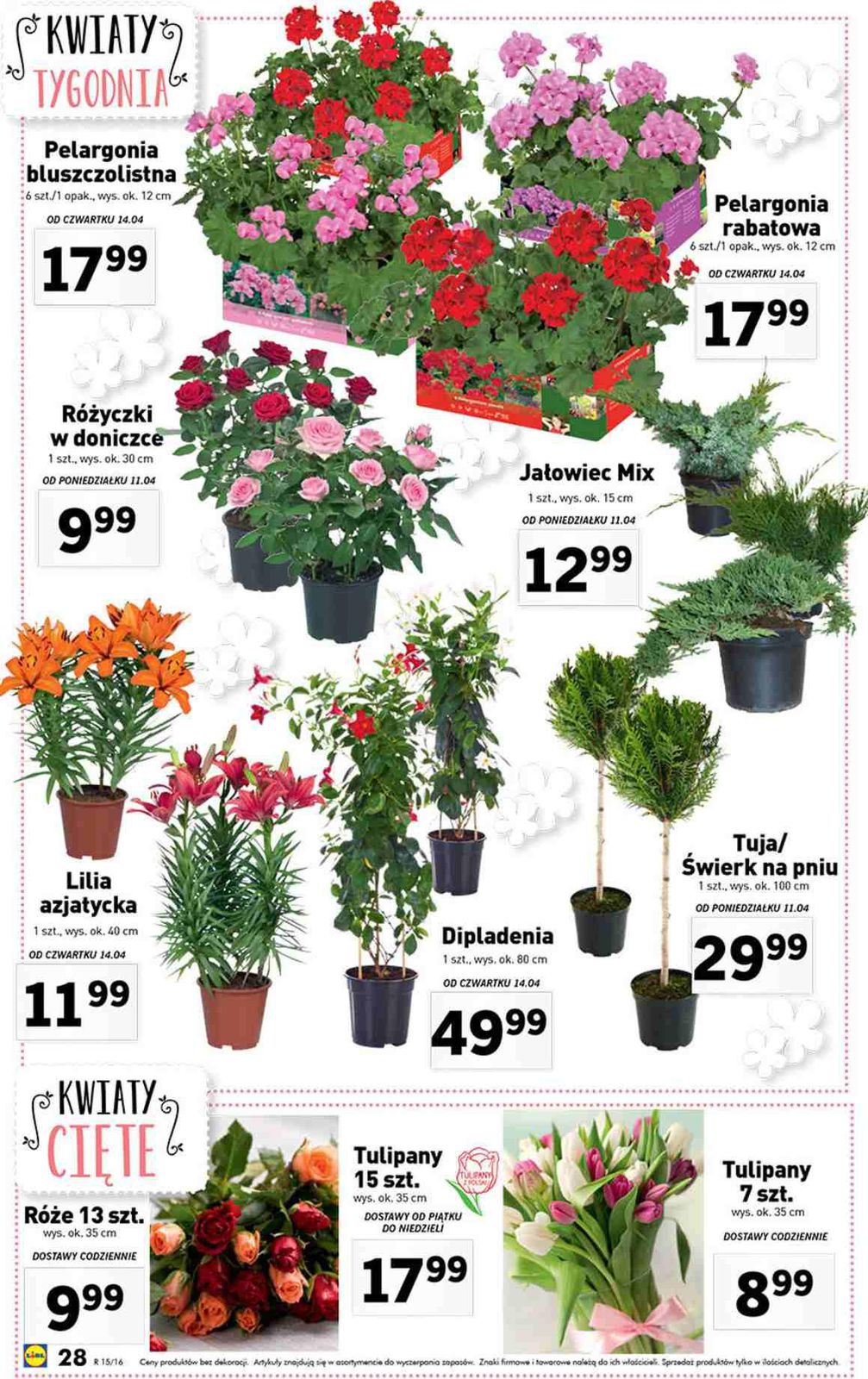 Gazetka promocyjna Lidl str. 28