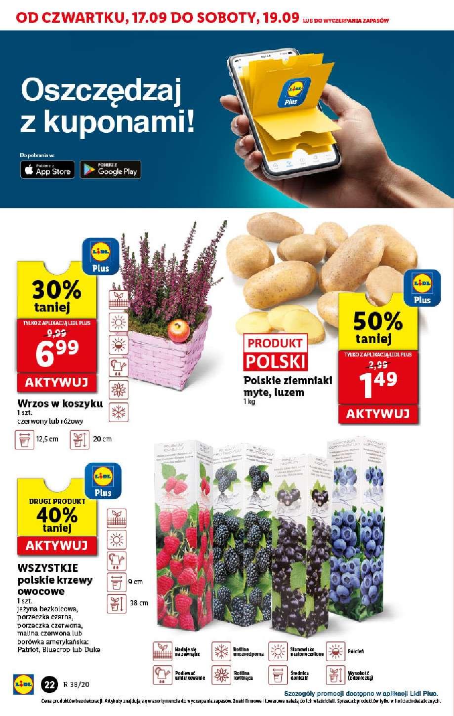 Gazetka promocyjna Lidl str. 22